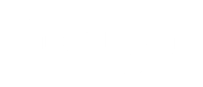 Steuber Travel Group